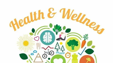 The Essential Role of Chiropractic in Modern Healthcare